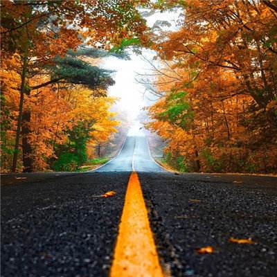 365在线手机app下载